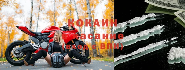 стаф Аркадак