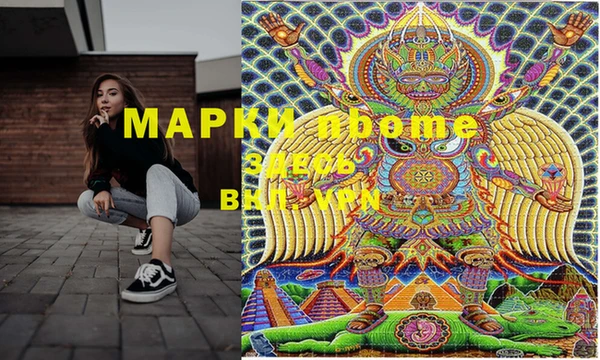 стаф Аркадак