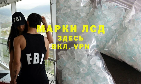 стаф Аркадак
