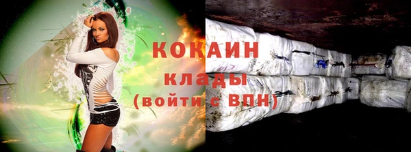 стаф Аркадак