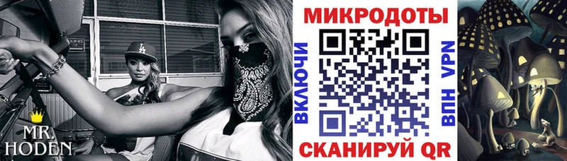 blacksprut ONION Спасск Галлюциногенные грибы мицелий